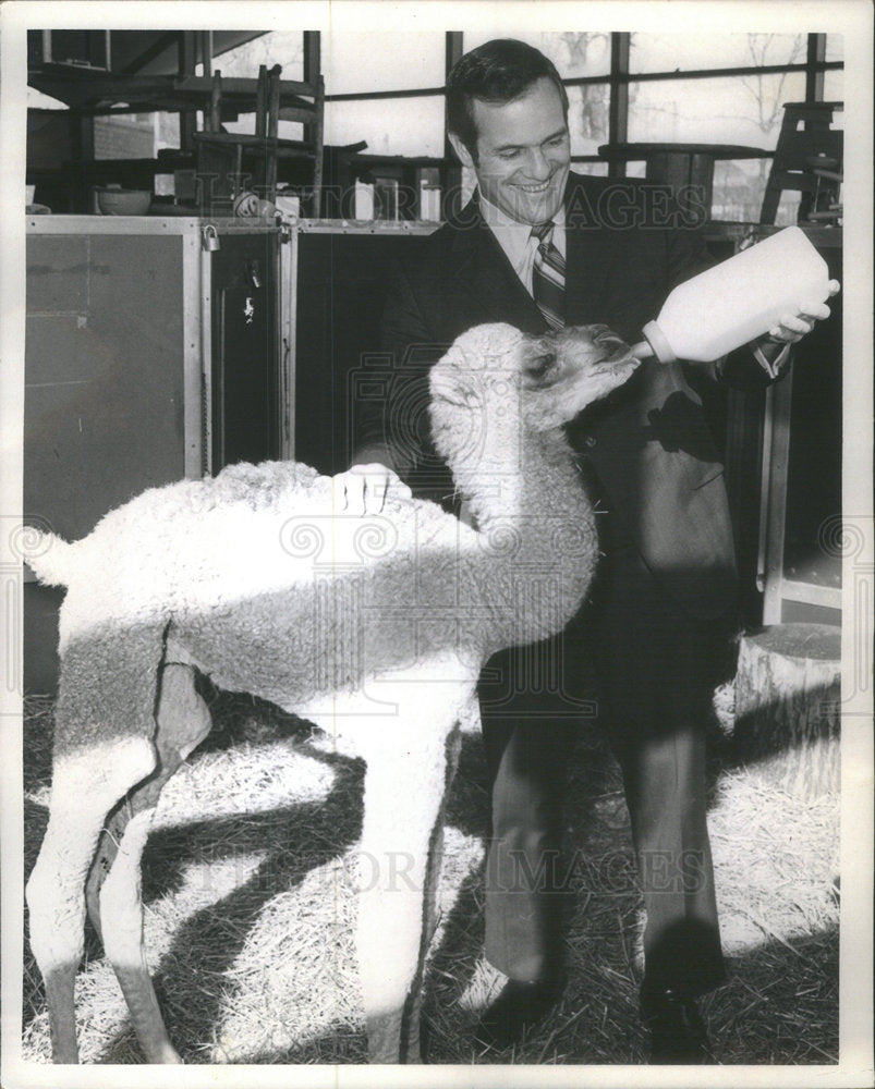 Daniel J. Shannon with baby camel - Historic Images