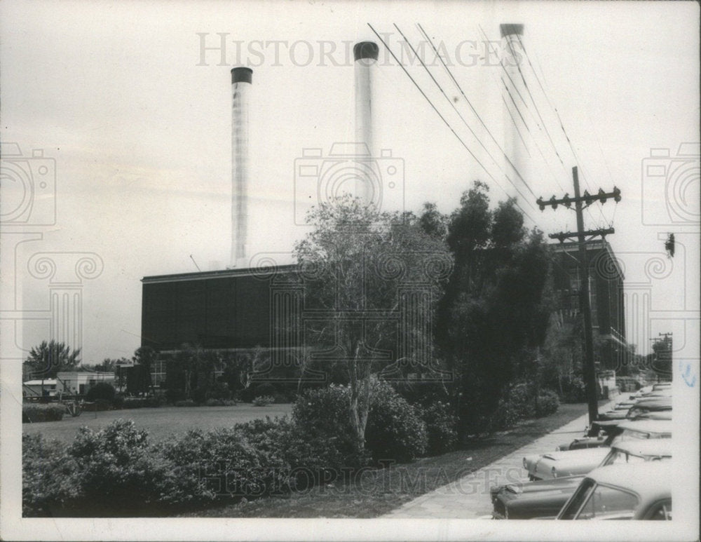 Press Photo Foliage in the Point - Historic Images