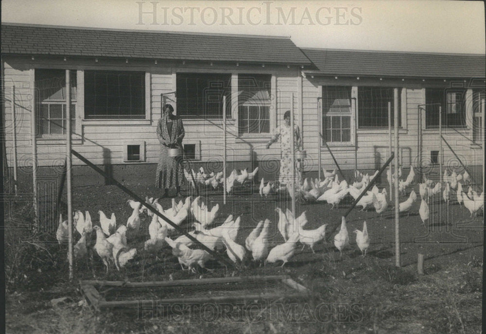 1930 Press Photo Denver Bible Institute Members Feeding Chickens - Historic Images