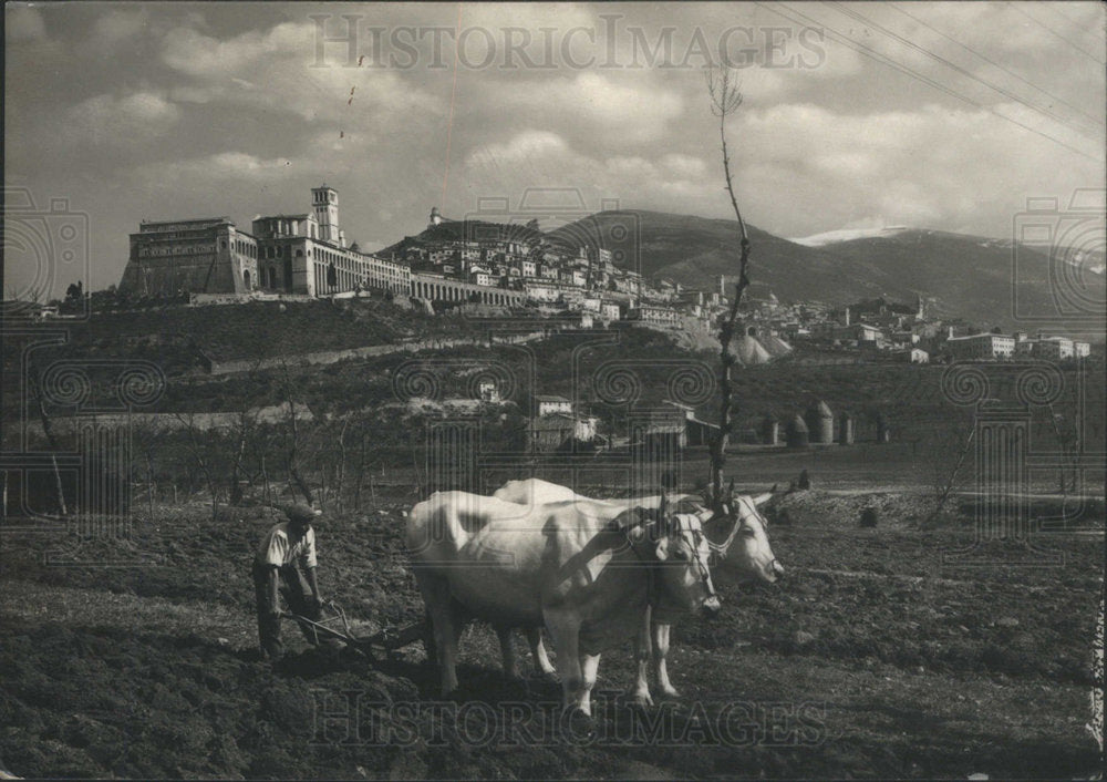 1954 Press Photo Assai, Hilltop Town, Birthplace Of St. Francis - Historic Images