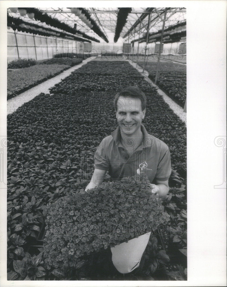 1989 Press Photo herb farmer Dave Tyznik, of Planter&#39;s Palette, Winfield, IL - Historic Images