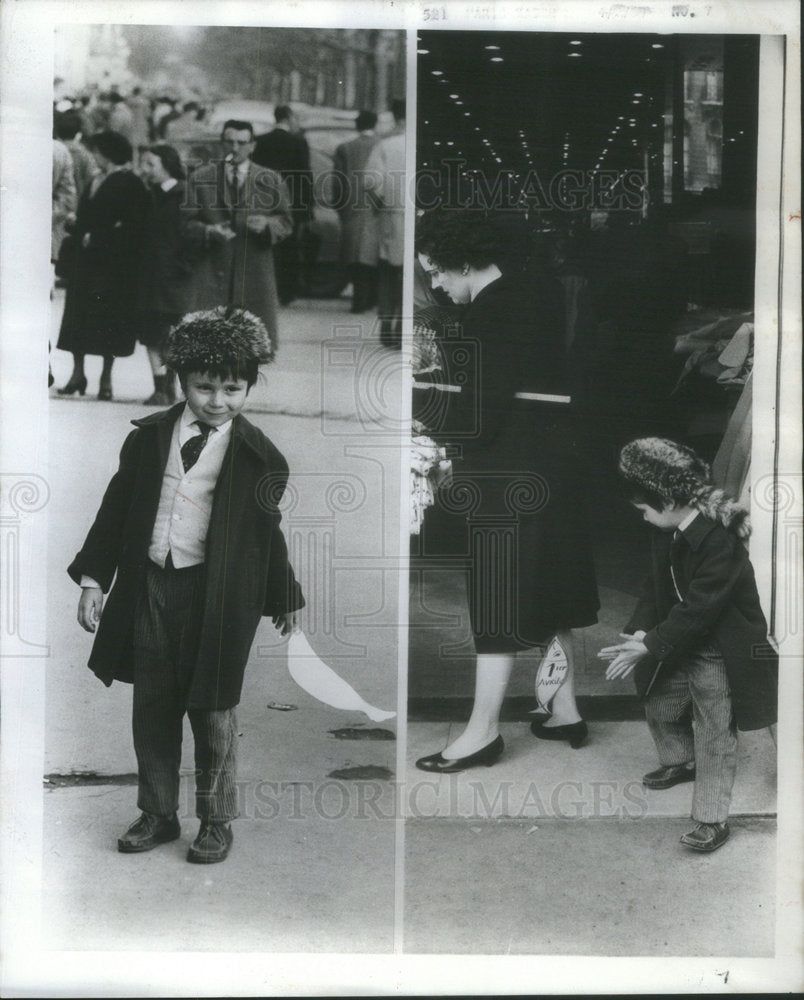 1959 Press Photo Papapouf will it stay - Historic Images