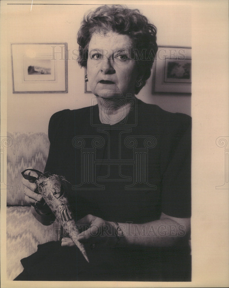 Press Photo Jane Ryden American Wilmette Illinois Area Ornament Collector - Historic Images