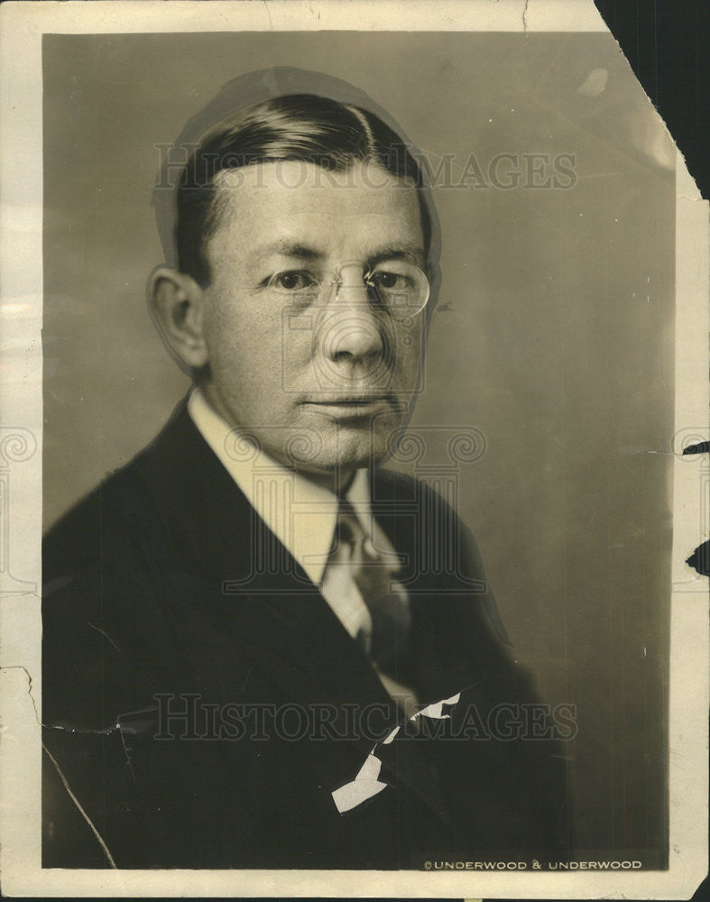 1926 Press Photo Portrait of Theodor Douglas Robinson - Historic Images
