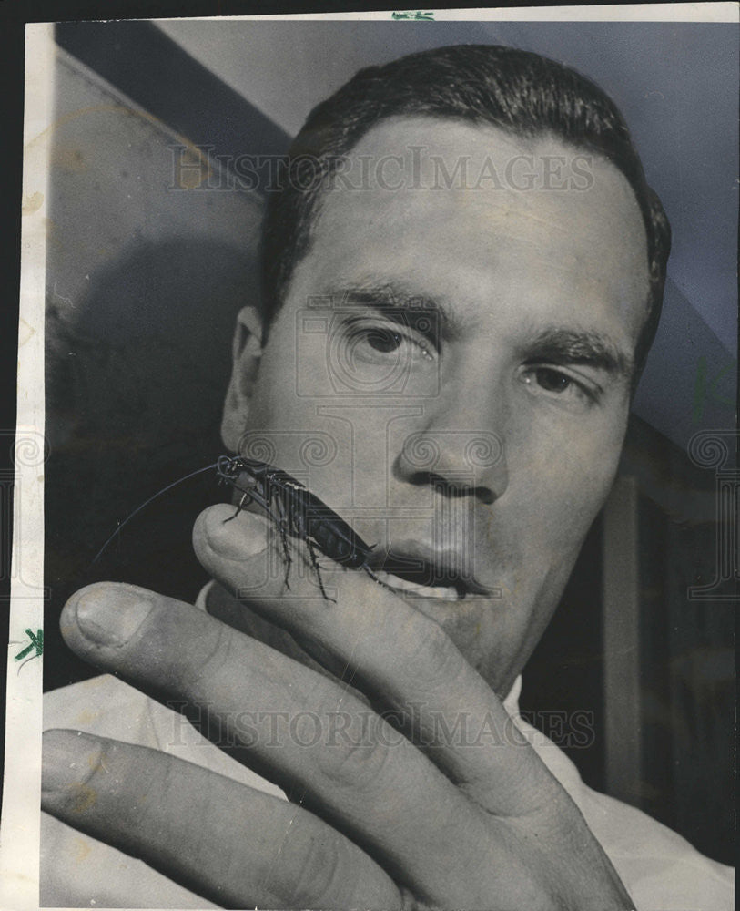 1966 Press Photo Robert Dold Vice President Ross Exterminator - Historic Images