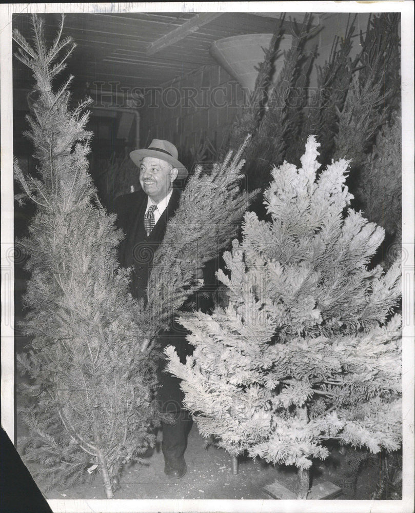 1954 Press Photo Gus Relia christmas tree vendor - Historic Images