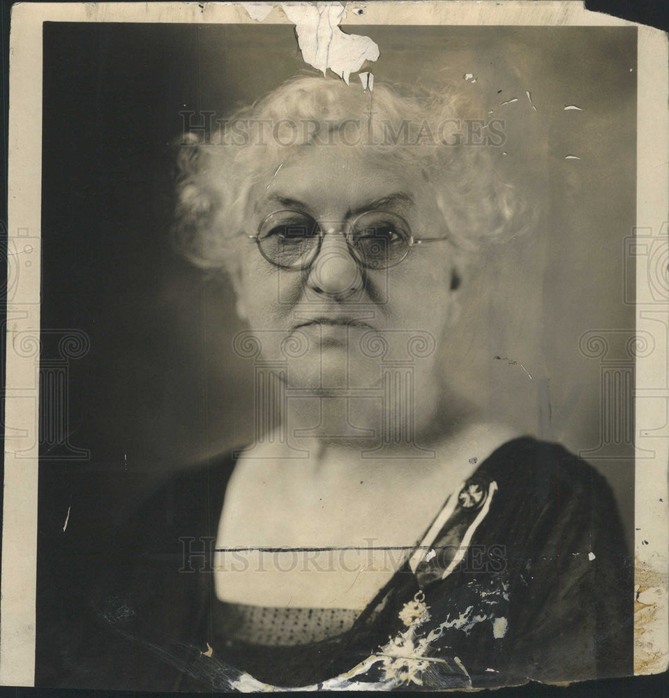 1931 Press Photo Mary McDowell University Chicago Grand Duke Gediminas Lithuania - Historic Images