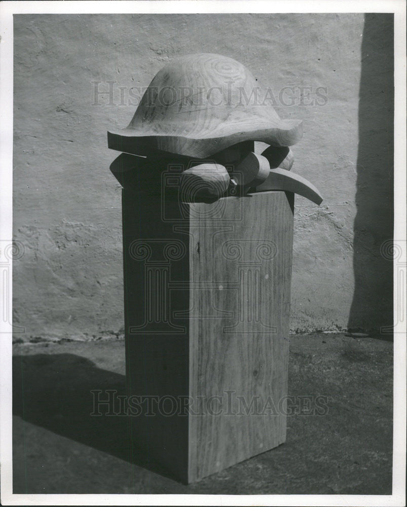 1966 Press Photo Art by Robert Rohm - Historic Images