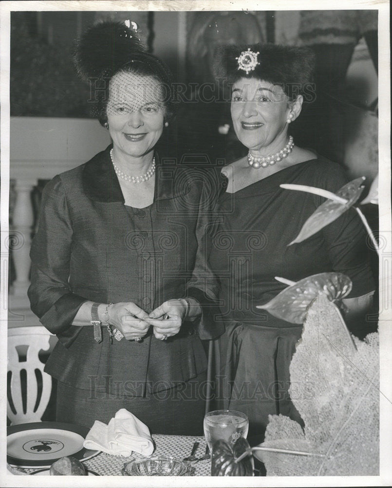 1956 Press Photo Mrs Burr Robbins,Mrs T. Howard Kelly - Historic Images