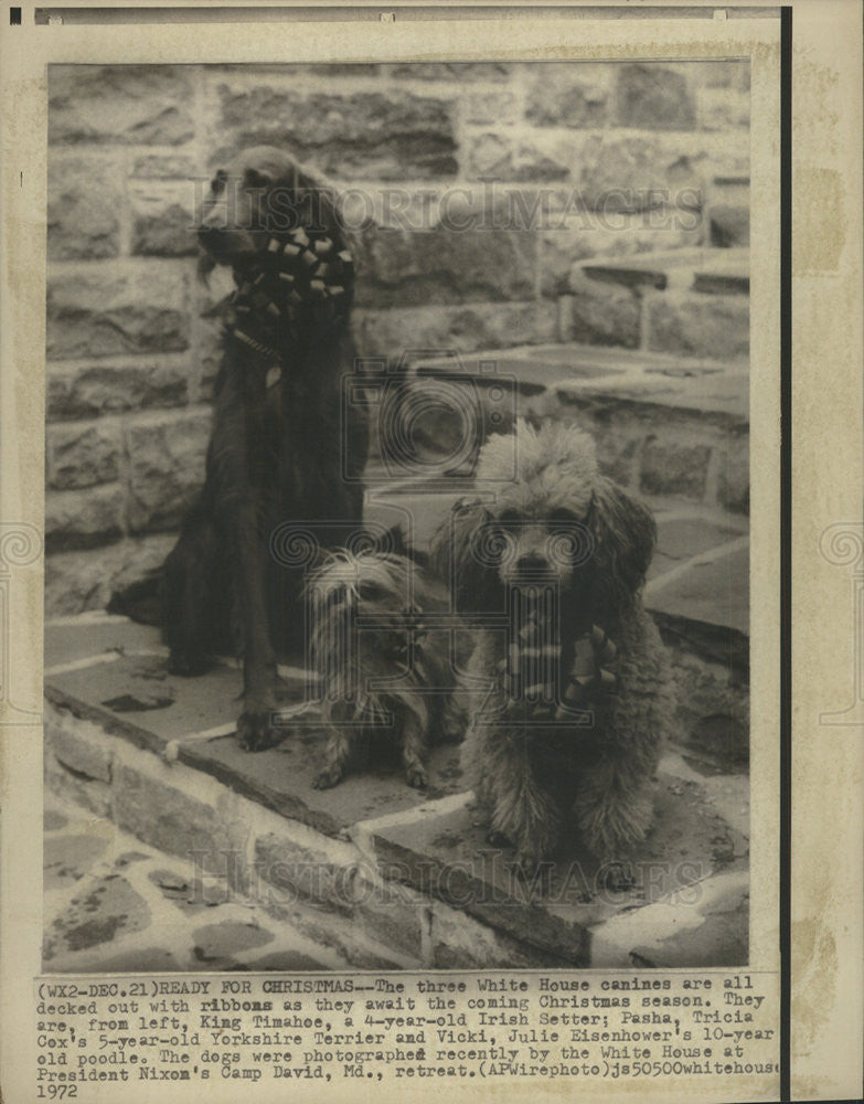 1972 Press Photo Pres.Richard Nixon&#39;s Pets. - Historic Images