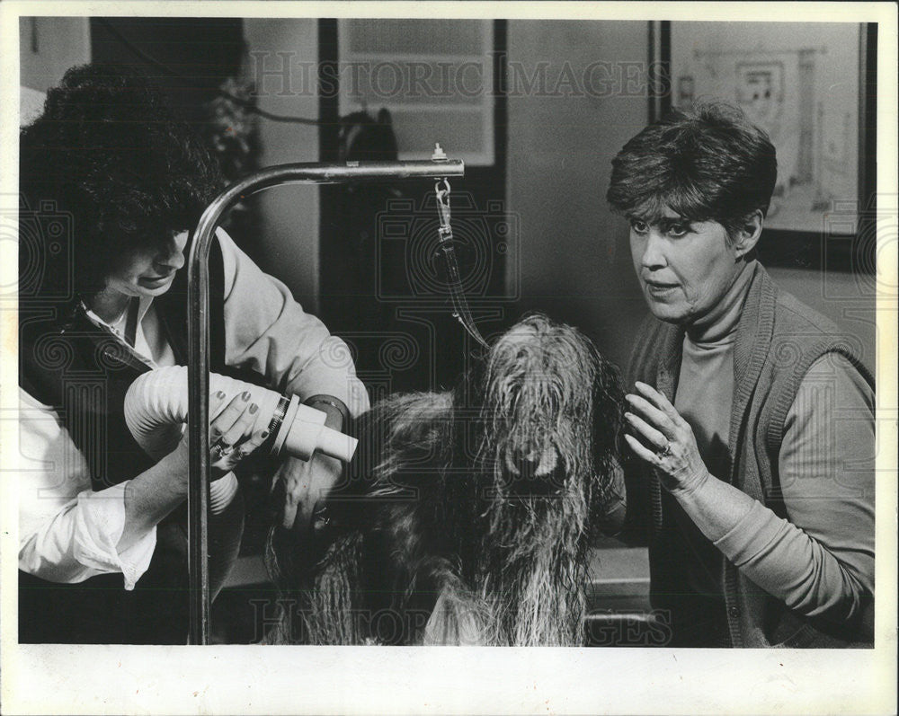 1987 Press Photo Erma Bombeck , grooming dog - Historic Images