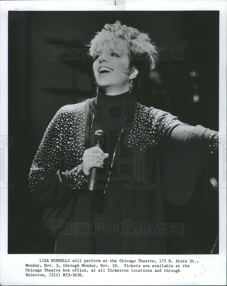 1993 Press Photo Singer Liza Minnelli - Historic Images