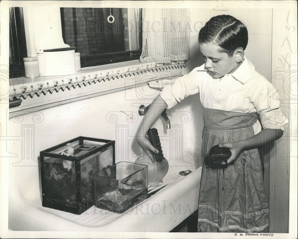 1942 Press Photo Gerard Danou hobby collection Turtles Fish - Historic Images