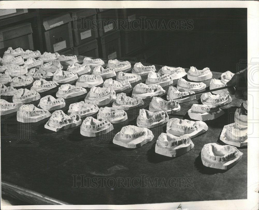 1952 Press Photo Bertram Kraus University Arizona Anthropologist Teeth - Historic Images