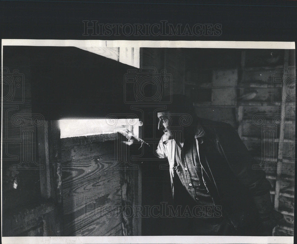 1972 Press Photo Peter De Haas Chicken Thieves - Historic Images