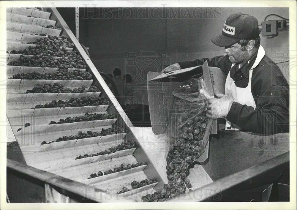 1981 Press Photo James DeLapa at frozen food processing co - Historic Images