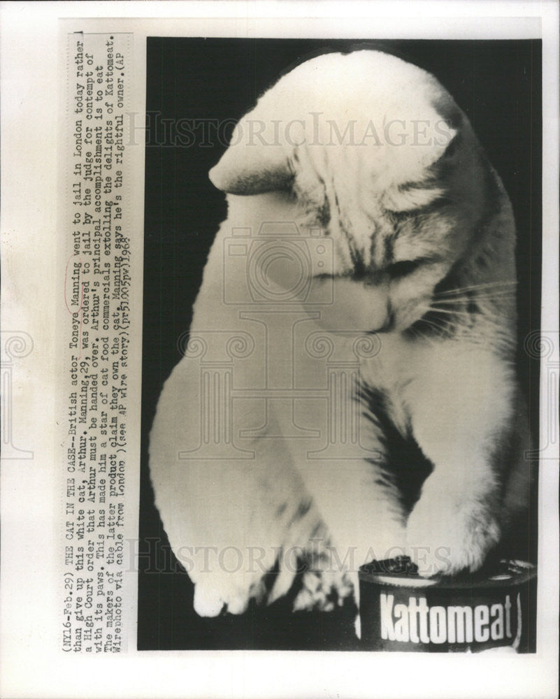 1968 Press Photo Cat in the case - Historic Images