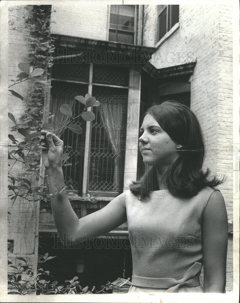 1966 Press Photo Dorothy MacDonald at the Garden Behind the Graham Foundation - Historic Images