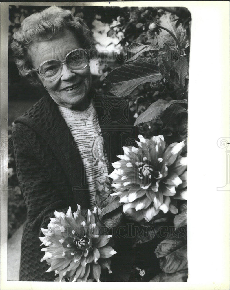 1985 Press Photo Chicago Gardener Of The Year Mottin Holding Dahlias - Historic Images