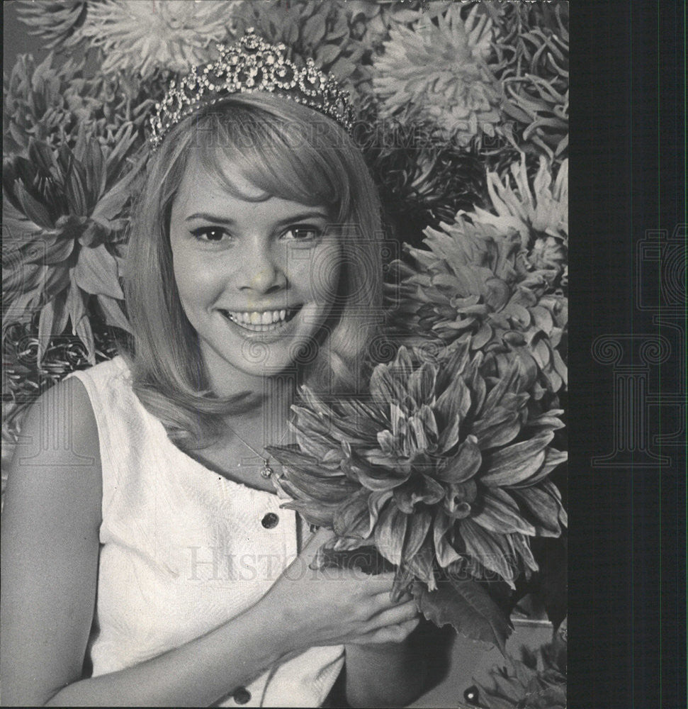 1969 Press Photo MICHELE PARSONS QUEEN CHICAGOLAND DAHLIA SHOW - Historic Images