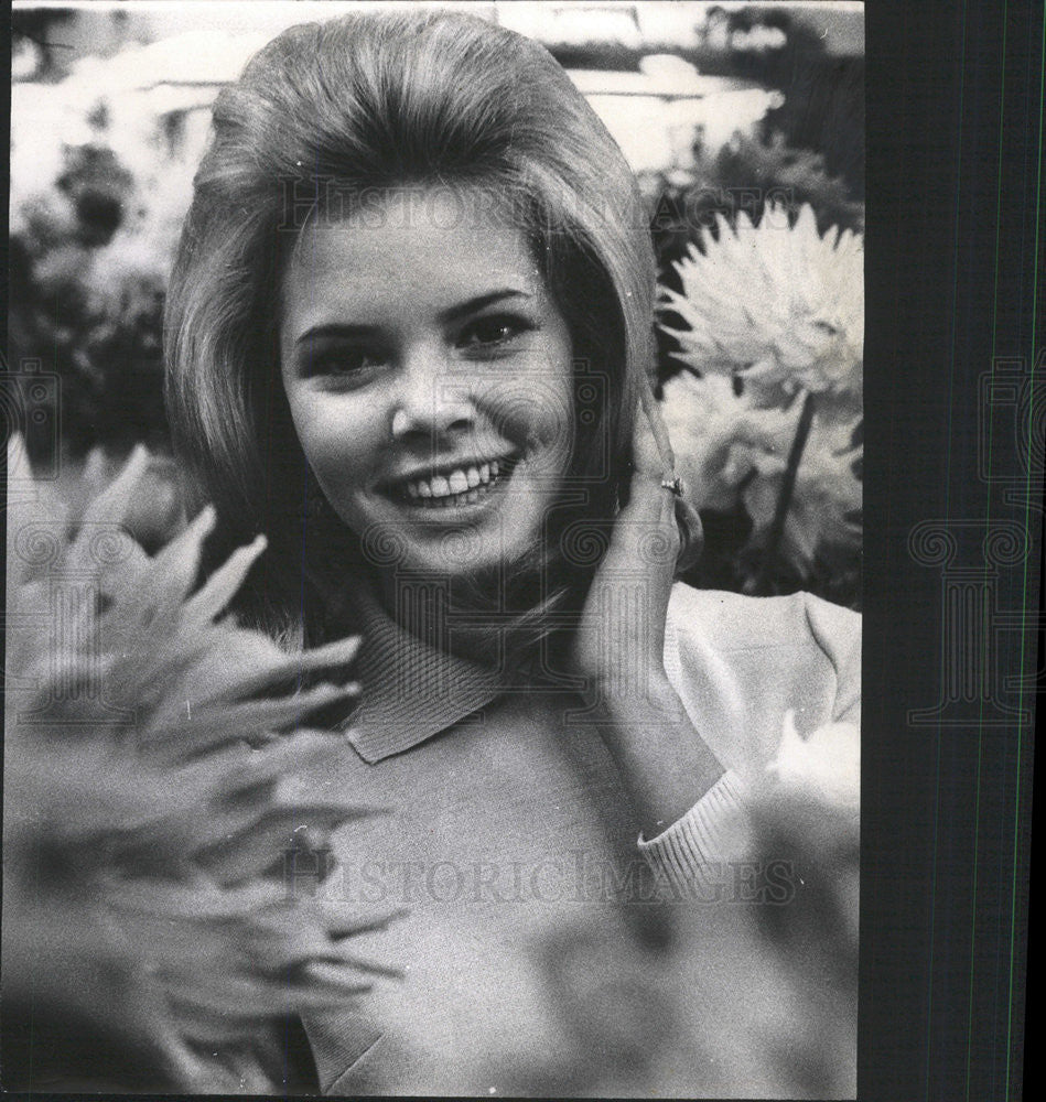 1969 Press Photo Michele Parson Chicagoland Dahlia Queen Ford City Shopping - Historic Images