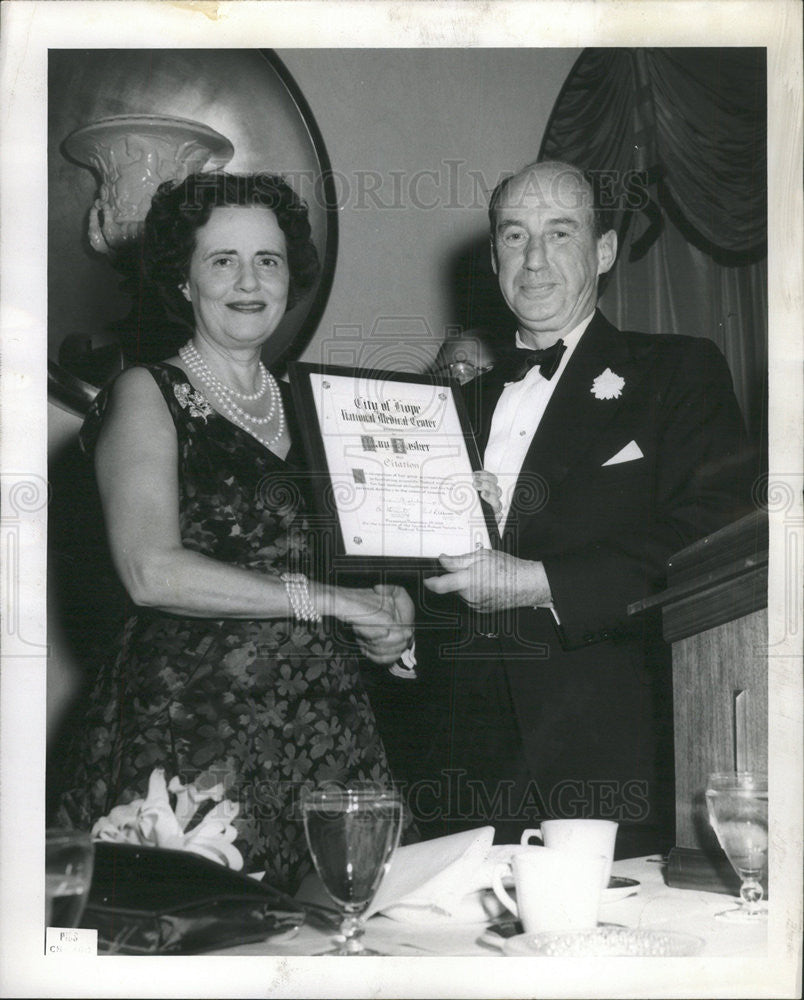 1959 Press Photo MRS. MARY LASKER PRESIDENT LASKER FOUNDATION GOVERNOR ADLAI E. - Historic Images