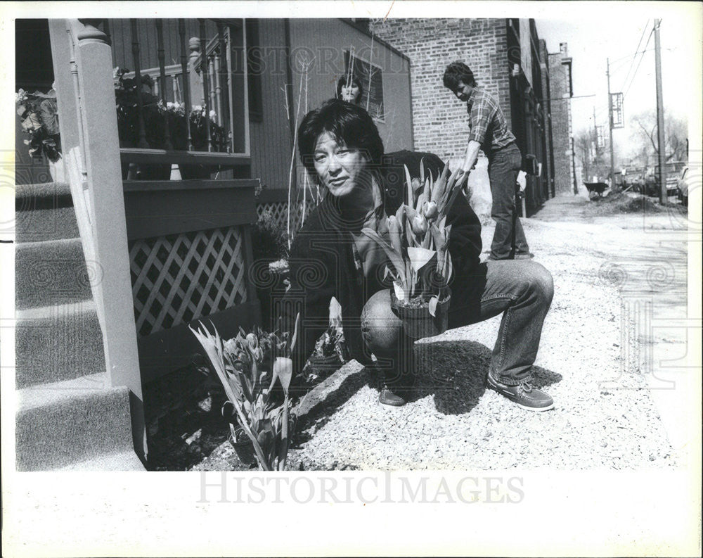 1988 Press Photo Steven C. Homma/Landscape Design/Tulips/Chicago - Historic Images