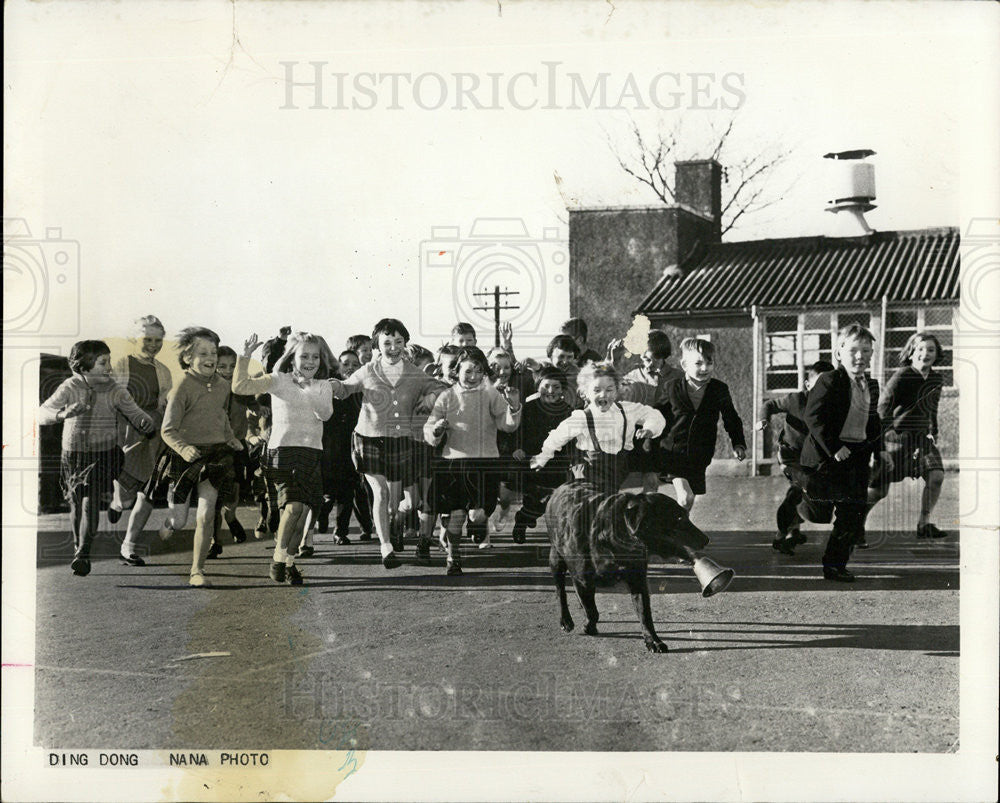 1964 Press Photo Black Lab Rena the Ding Dong Dog Runs With Scottish Children - Historic Images