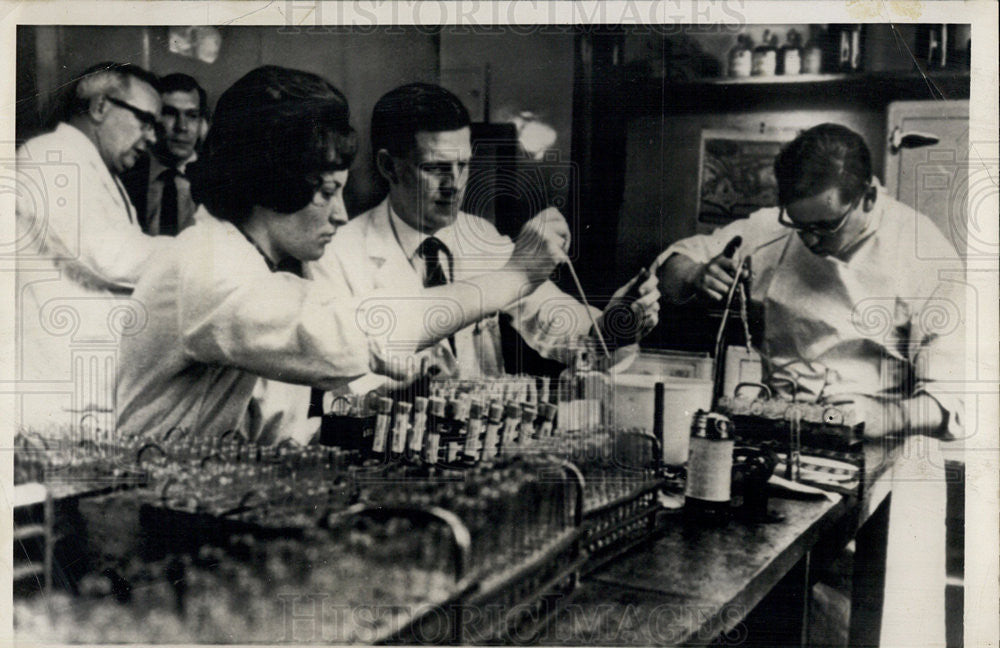 1964 Press Photo Scientists Analyze Blood Samples after Typhoid Outbreak - Historic Images