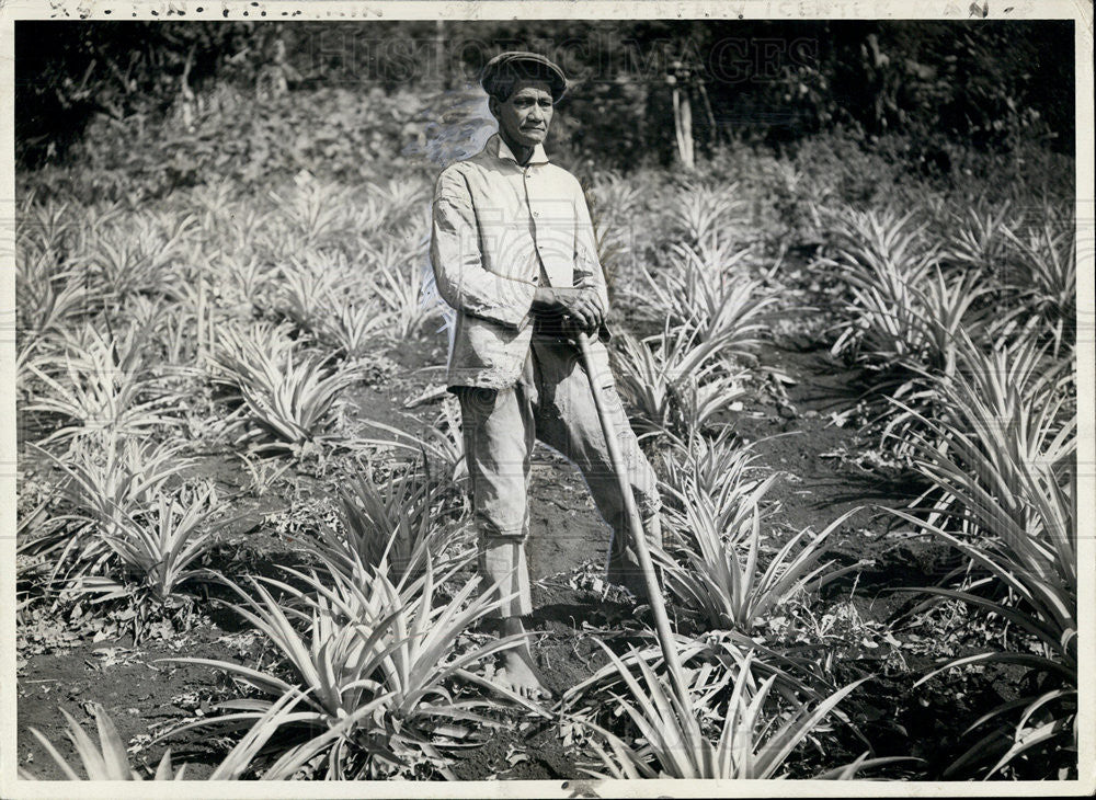 1938 Press Photo Great Grandson of Fletcher Christian, Hoeing Pineapples - Historic Images