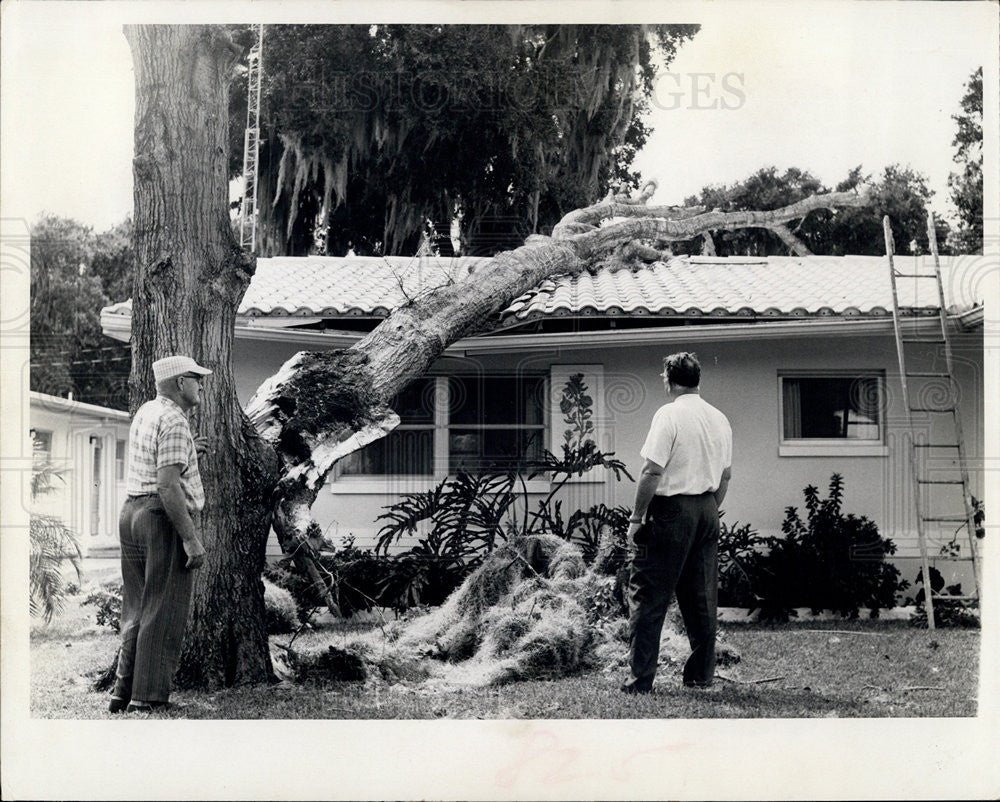 1965 Press Photo Hurricane Betsy Damage, New Port Richey, Florida - Historic Images