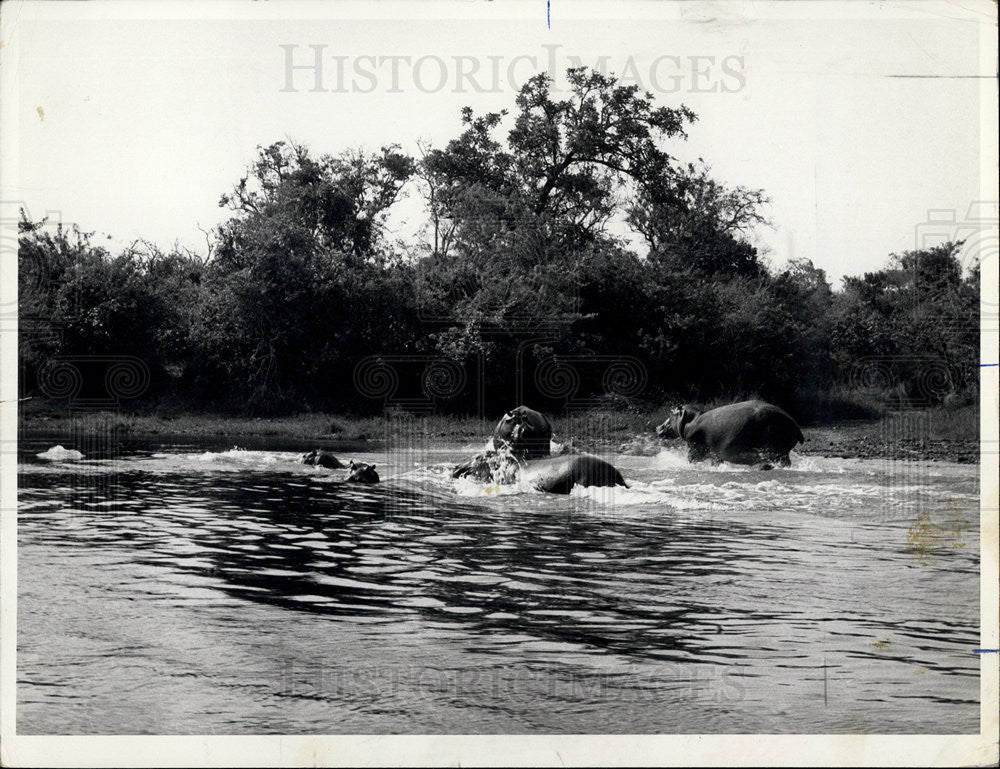 1972 Press Photo Typical scene along Victoria Nile in Uganda - Historic Images