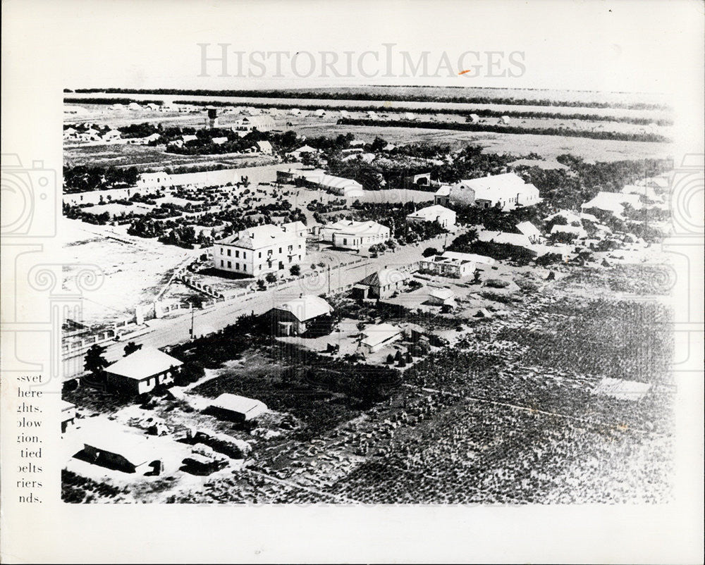 1961 Press Photo Windbreak Trees Planted by Ukrainians to Combat Erosion - Historic Images