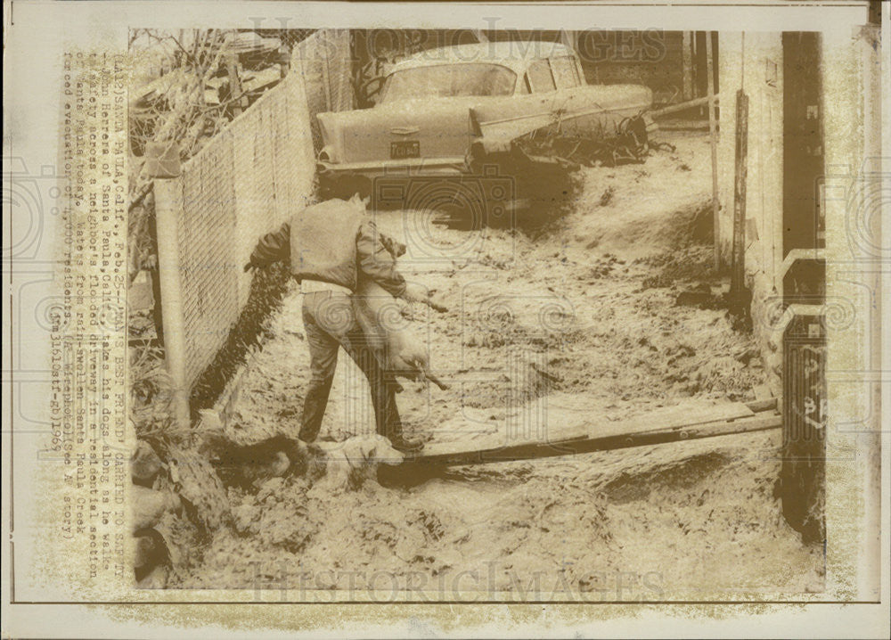 1969 Press Photo John Herrera Carries Dog to Safety after Flood, Santa Paula, CA - Historic Images