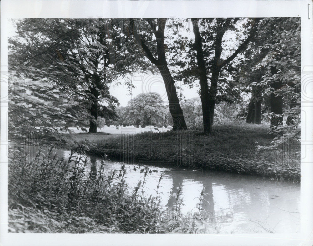 1969 Press Photo Pastoral Park Known As The Wood Haarlem In The Netherlands - Historic Images