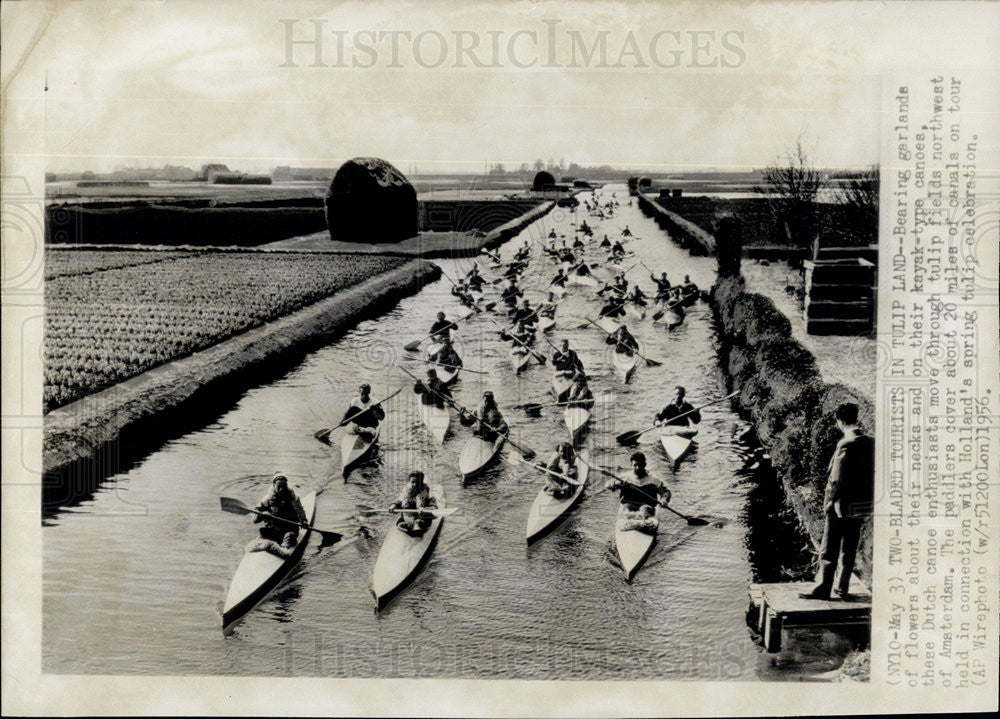 1956 Press Photo Canoists on canal through tulip fields in the Netherlands - Historic Images