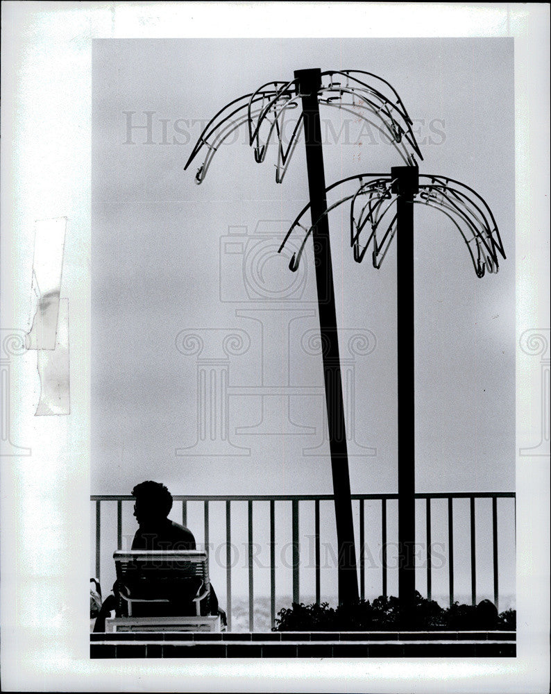 1991 Press Photo Woman Under Palm Tree Decor At Sunset Paradise Apts Indian Rock - Historic Images