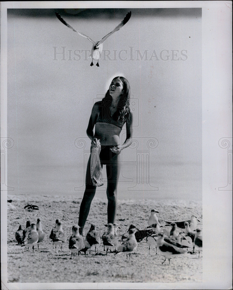 1982 Press Photo Sherri Nelson Feeds Seagulls - Historic Images