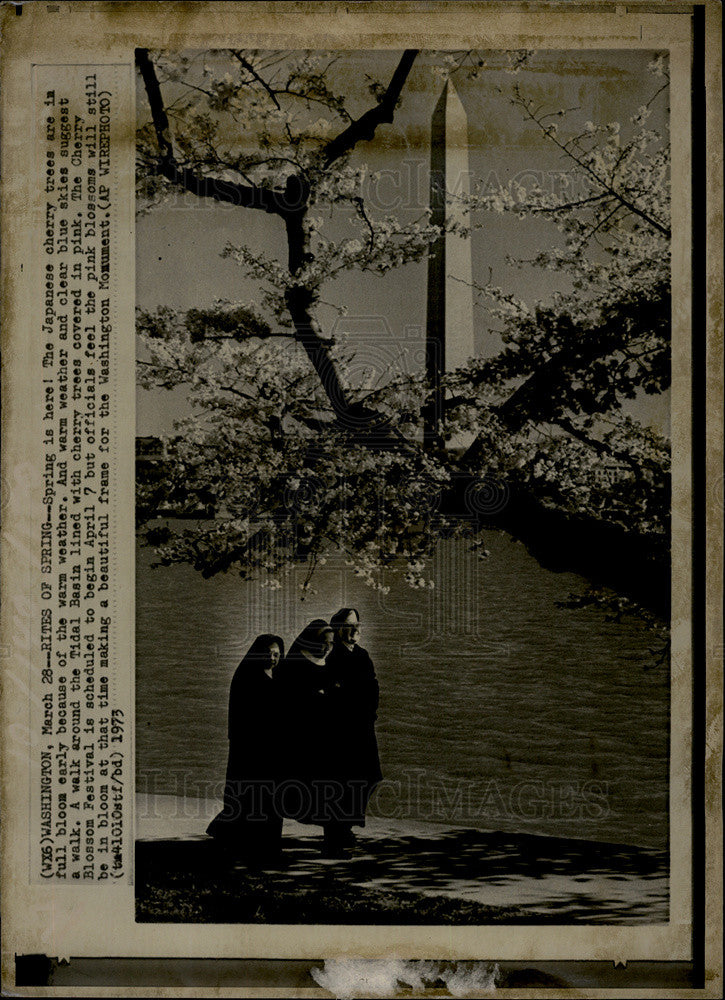 1973 Press Photo Japanese Cranberry Tree In Bloom In Washington For Cherry Blssm - Historic Images