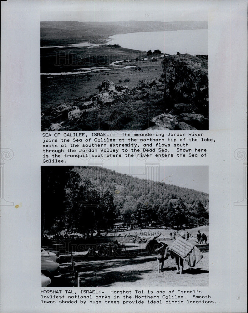 1990 Press Photo Horshat Tal Israel National Park Northern Galilee - Historic Images