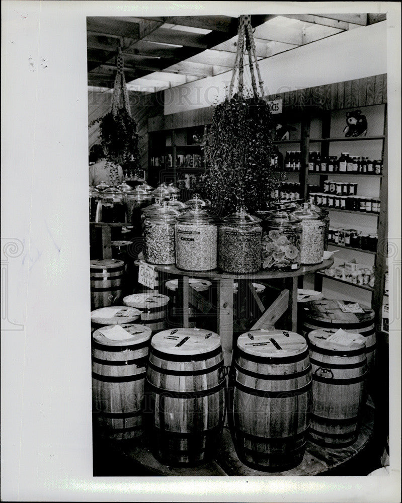 1979 Press Photo Natural fruits, nuts &amp; grains at &quot;It&#39;s Only Natural.&quot; - Historic Images