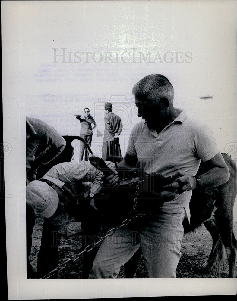 1961 Press Photo Dr Frank Olvey Veterinarian - Historic Images