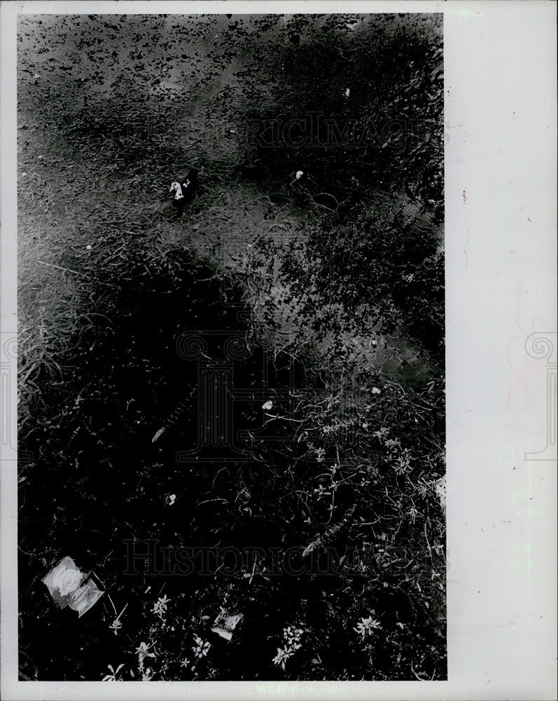 1986 Press Photo Aerial View Of Sawgrass Lake Park Environment And Wildlife - Historic Images