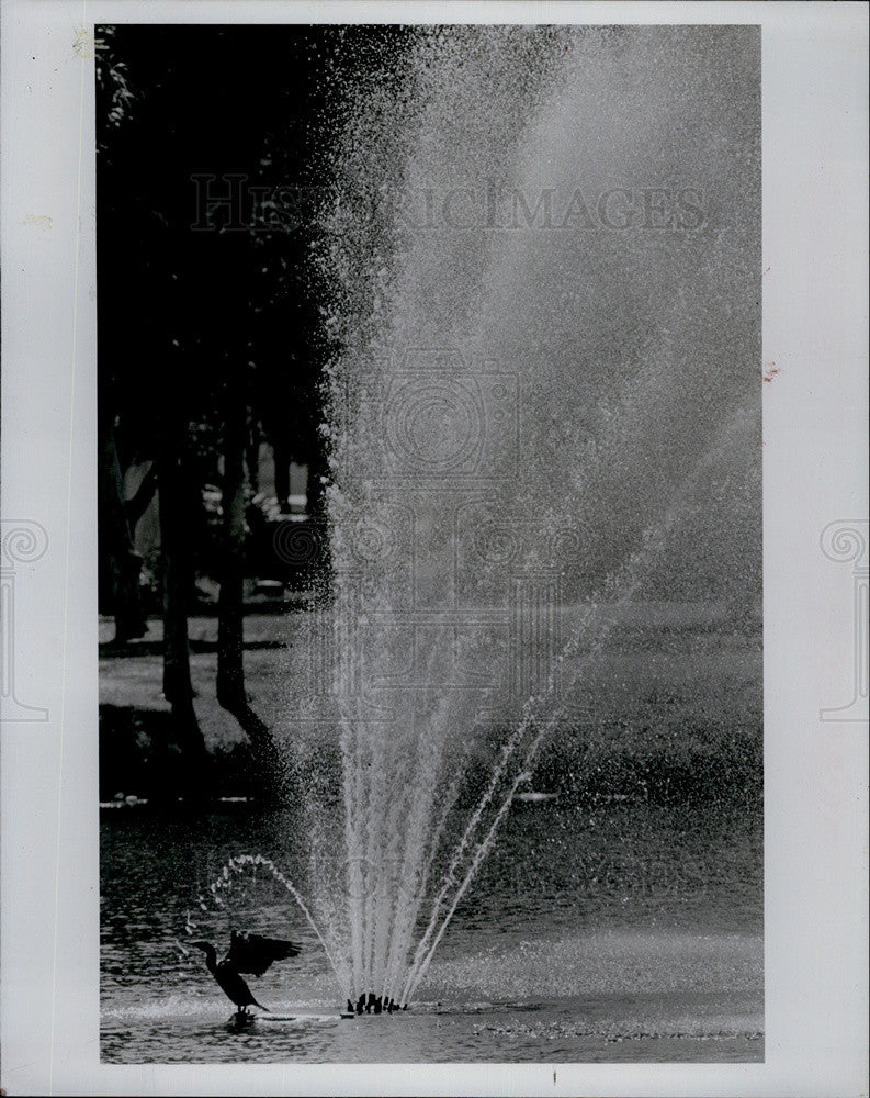 1981 Press Photo Fountain In Orange Lake In New Port Richey - Historic Images