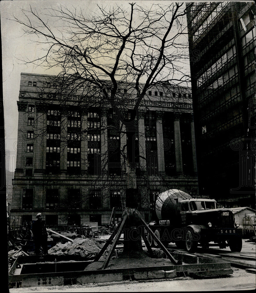 1965 Press Photo Honey Locust Tree And Chgo Civic Center Washington And Dearborn - Historic Images