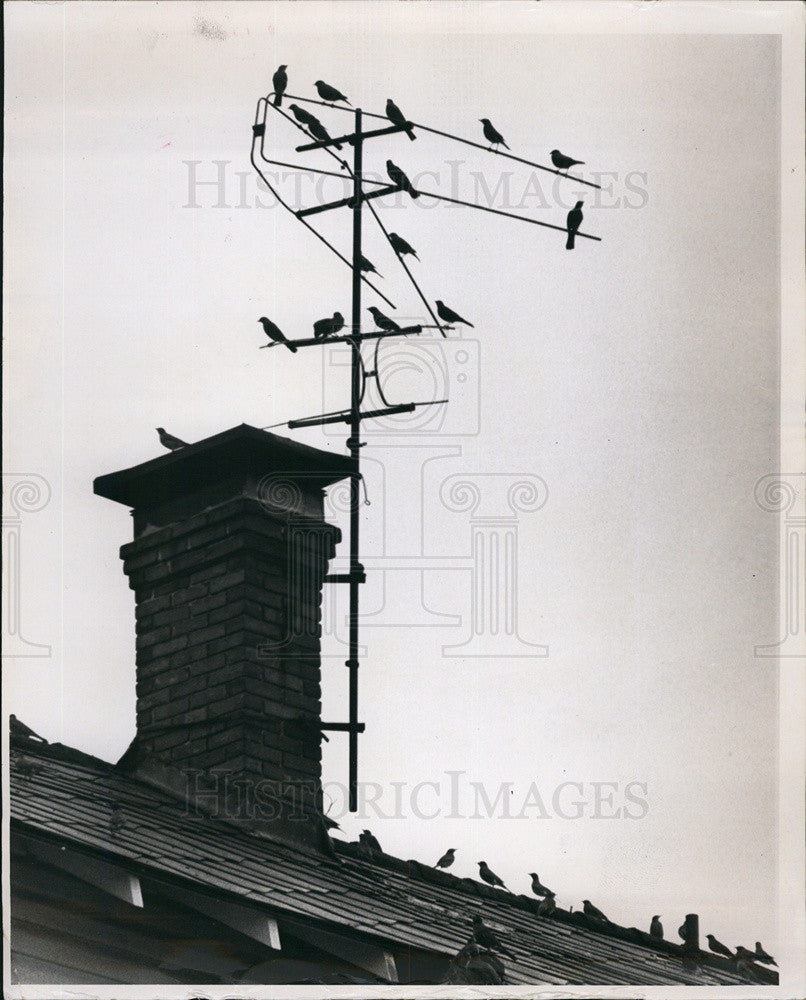 1964 Press Photo Tv Antennas - Historic Images