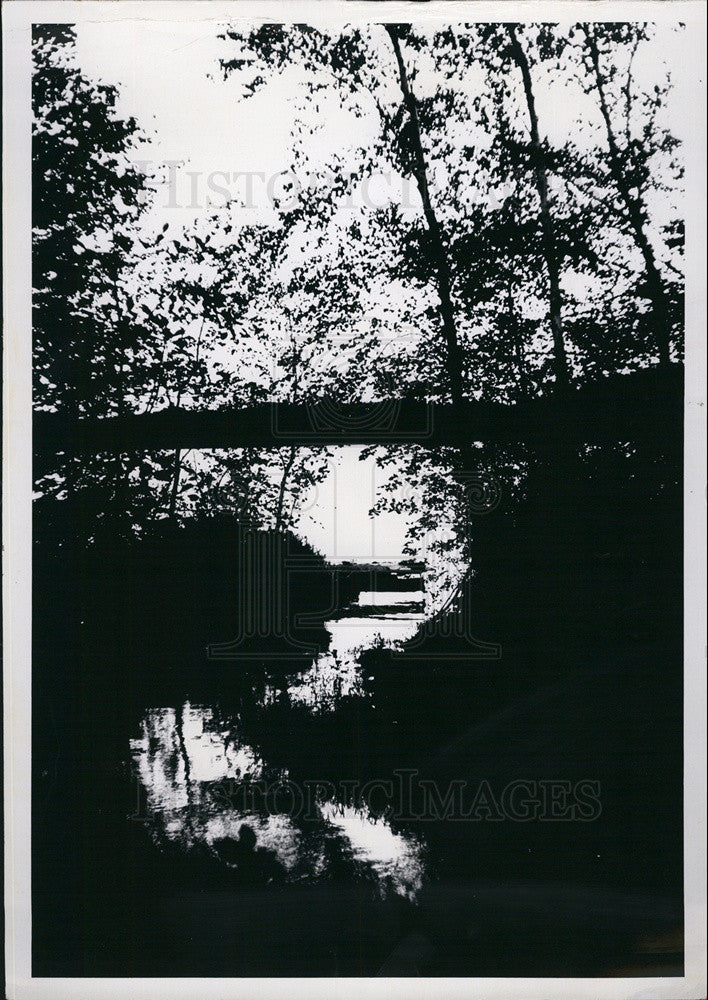 1973 Press Photo Relax a Minute. Picture Yourself in this Quiet Wood by a Stream - Historic Images