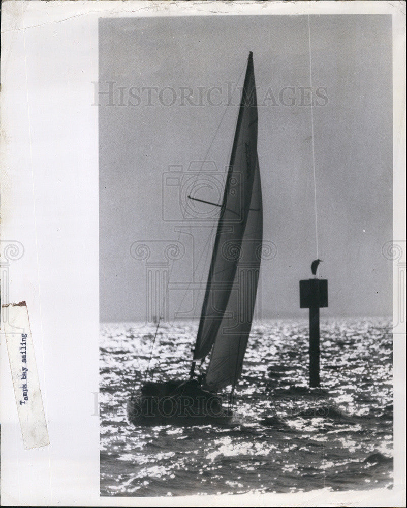 1971 Press Photo A Tampa Bay Bird Perches Near A Sailing Ship - Historic Images