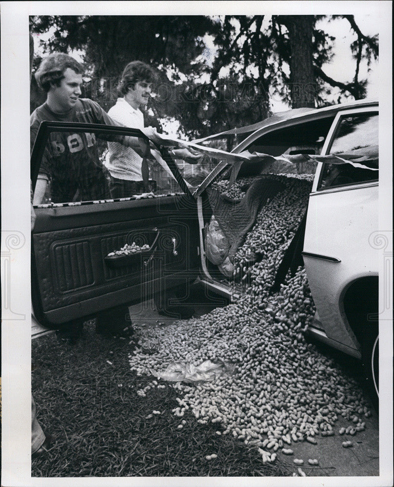 1976 Press Photo Have a Peanut..exactly what Phi Theta Kappa is doing - Historic Images