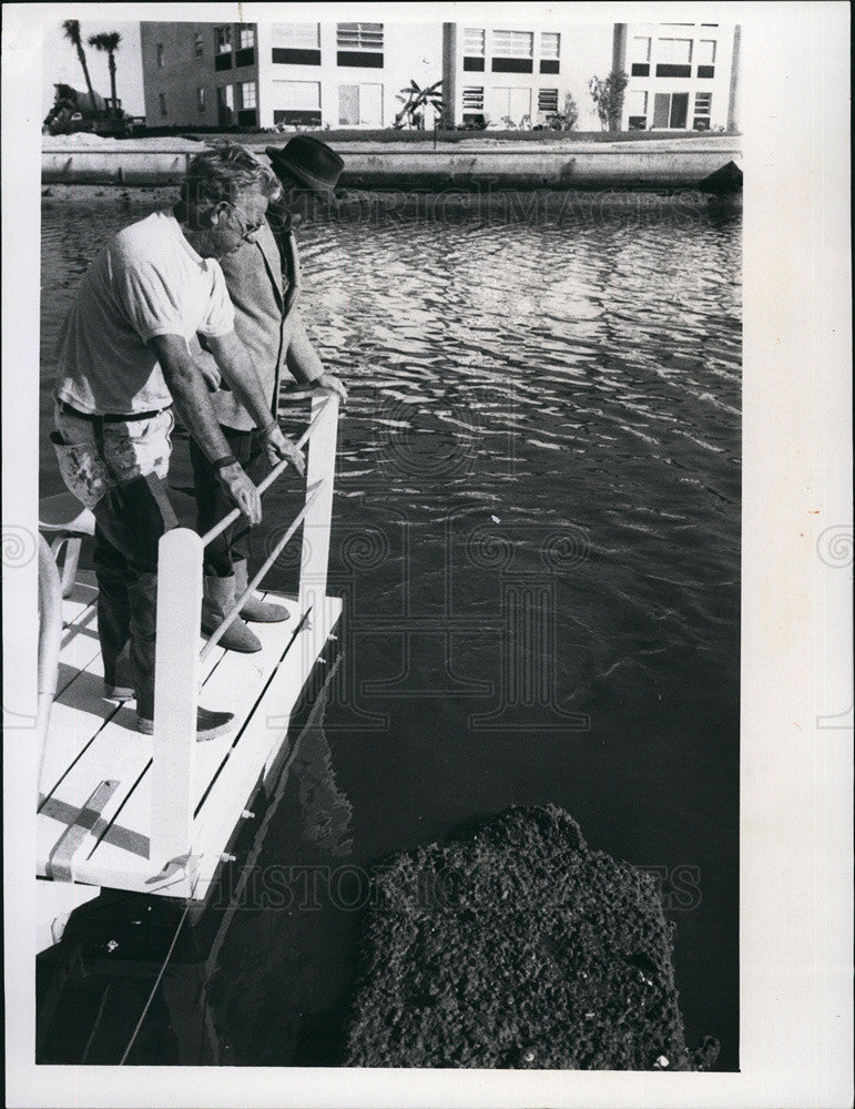 1973 Press Photo Sewage bubbling up in the gulf by New Port Richey, FL - Historic Images